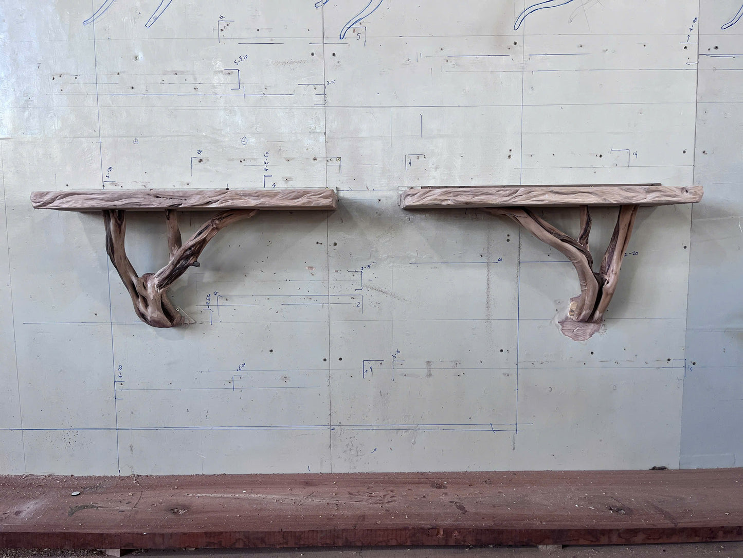 Live Edge Tree Branch Wooden Shelves, Handmade Natural Wall Art Shelf