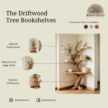 Sculptural Tree Live Edge Solid Wood Corner Shelf – Organic Modern Corner Bookshelf