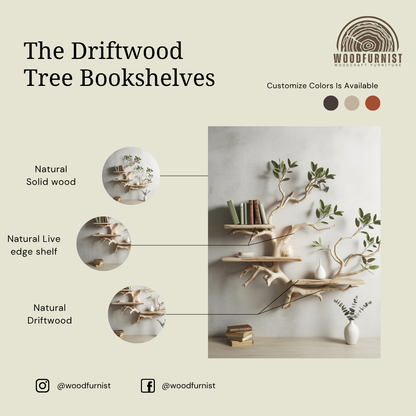 Sculptural Tree Branch Wall Shelf - Floating Driftwood Bookshelf