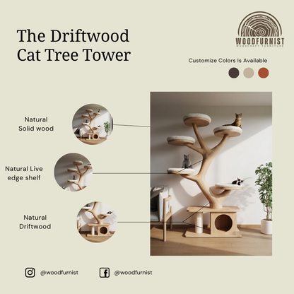 Sculptural Organic Wood Cat Tree – Modern Cat Playground