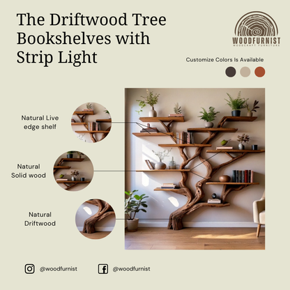 Rustic Driftwood Tree Bookshelf| Handcrafted Natural Wood Shelf for Books, Plants & Home Decor