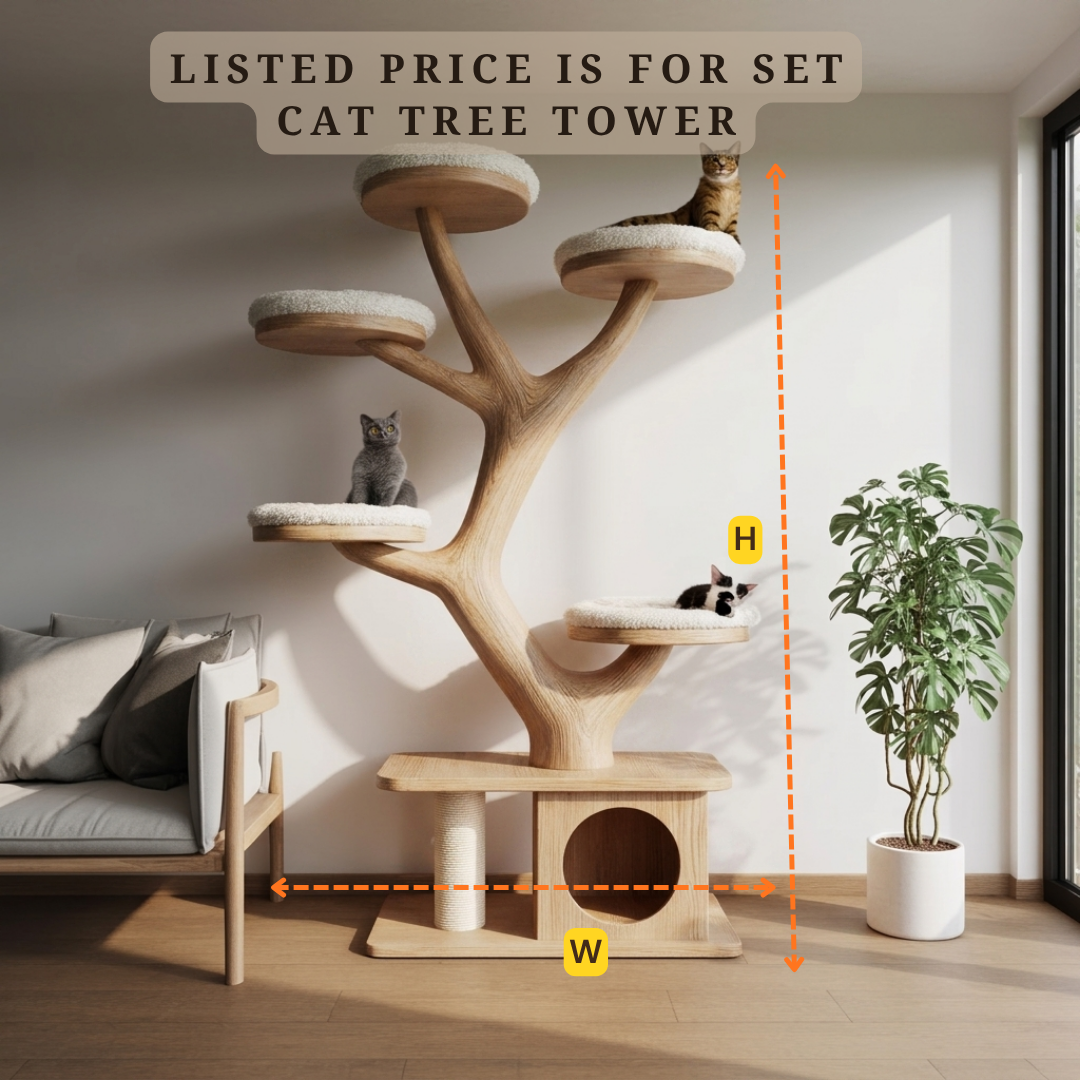 Sculptural Organic Wood Cat Tree – Modern Cat Playground