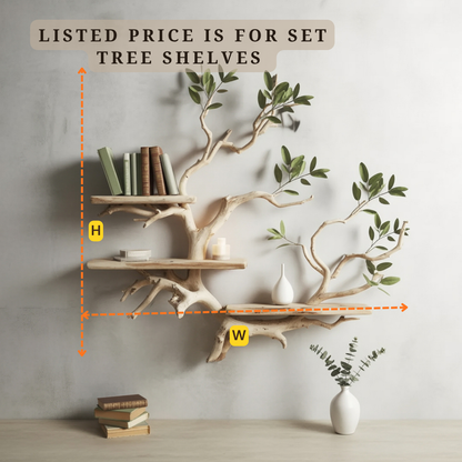 Sculptural Tree Branch Wall Shelf - Floating Driftwood Bookshelf