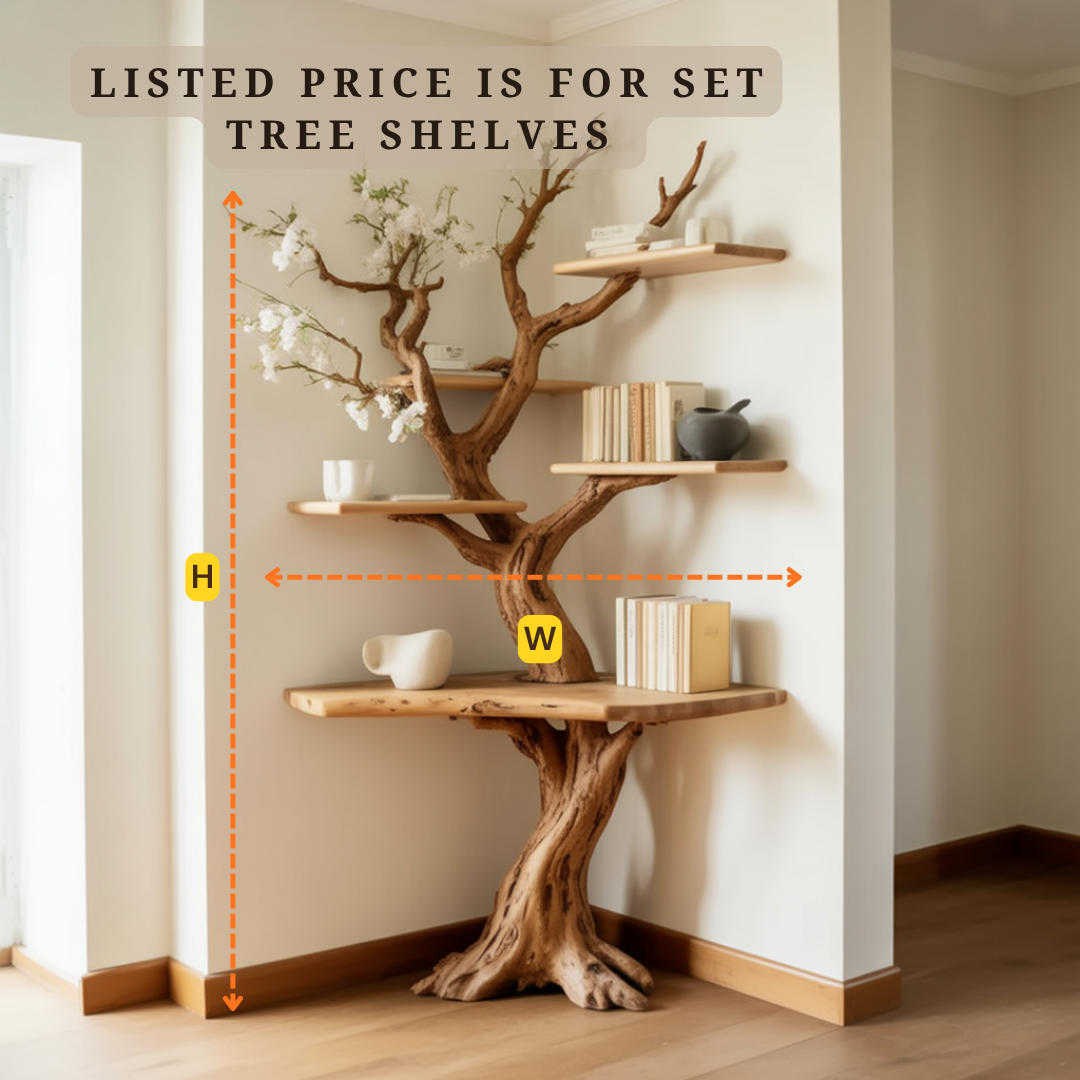 Sculptural Tree Live Edge Solid Wood Corner Shelf – Organic Modern Corner Bookshelf