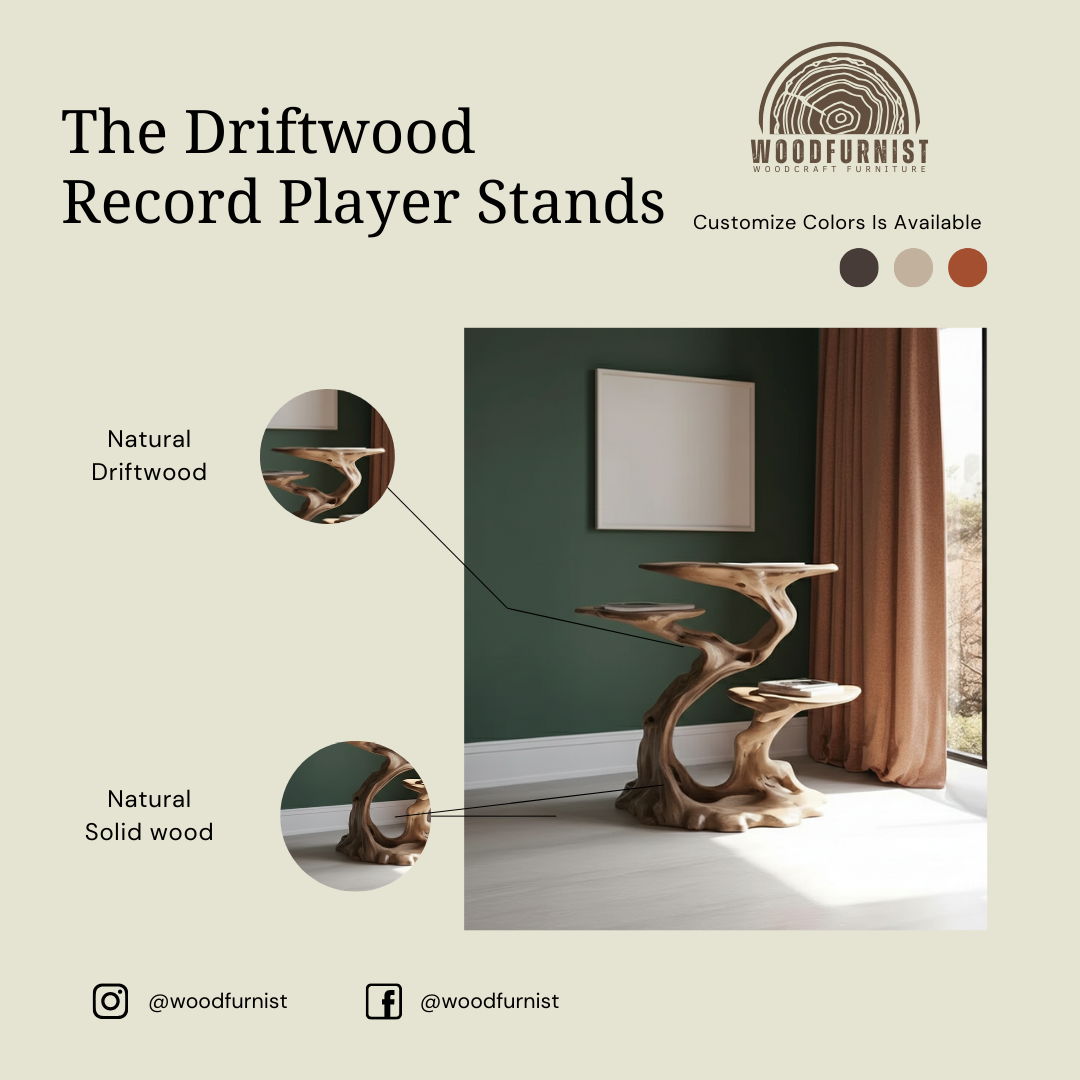 Sculptural Solid Wood Record Player Stand – Vinyl Storage Cabinet with Organic Design WFNVA0207