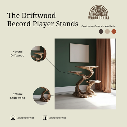Sculptural Solid Wood Record Player Stand – Vinyl Storage Cabinet with Organic Design WFNVA0207
